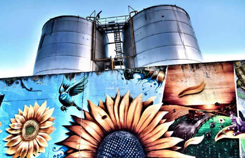 financiarisation de la nature