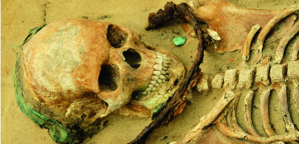 Squelette avec faux autour de la gorge, retrouvé dans un cimetière Polonais du XVIIe siècle. CREDIT: Marek Polcyn et Elzbieta Gajda